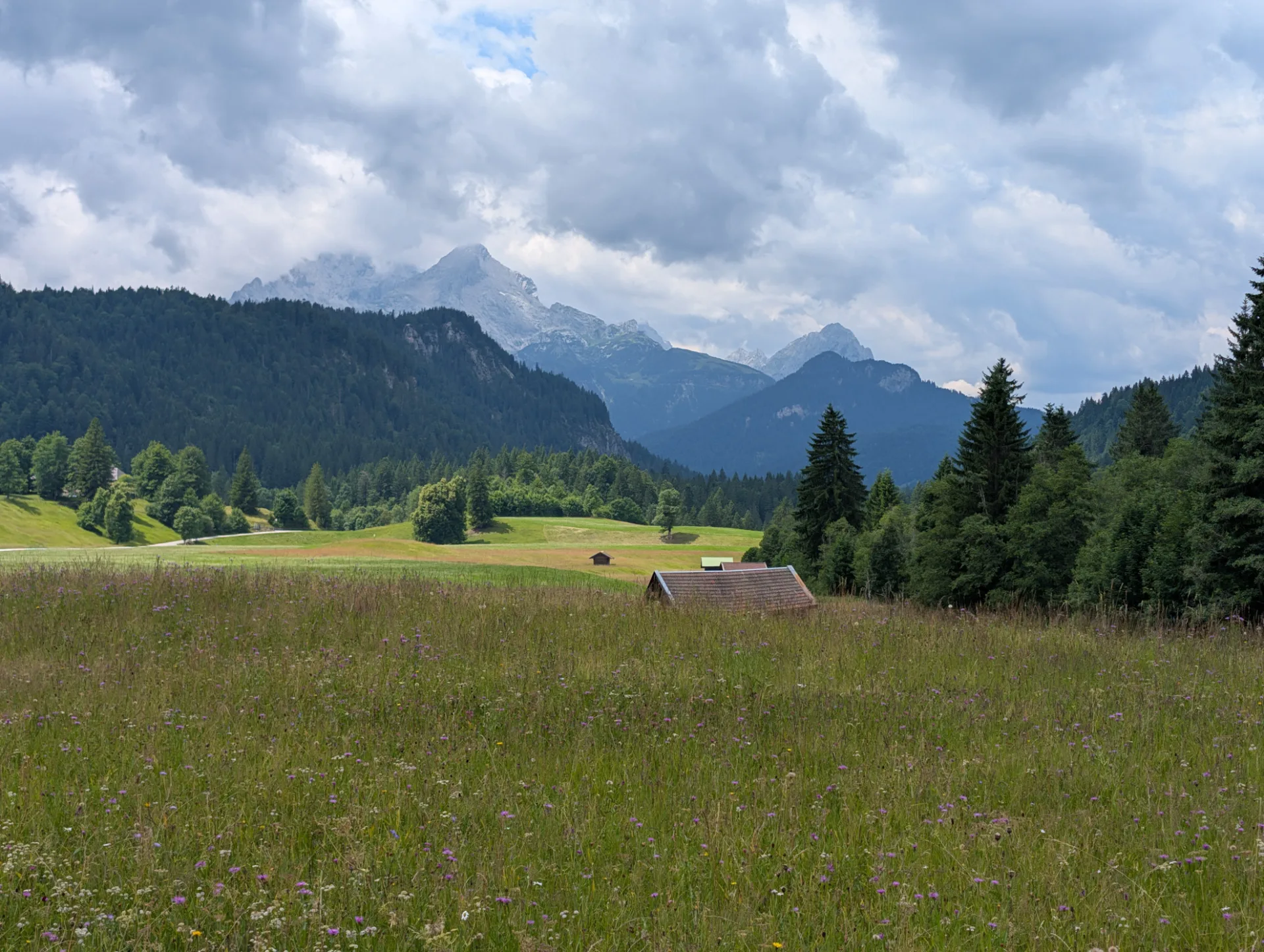 Alpine meadow with hay shed in front of the Wetterstein massif
