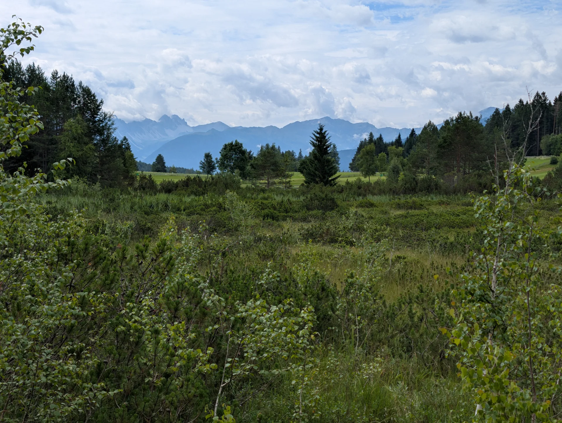 Boggy landscape in front of distant peaks