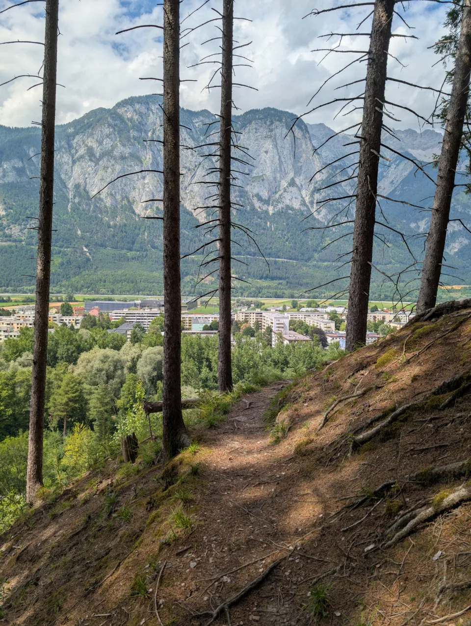 Trail with a view of Innsbruck