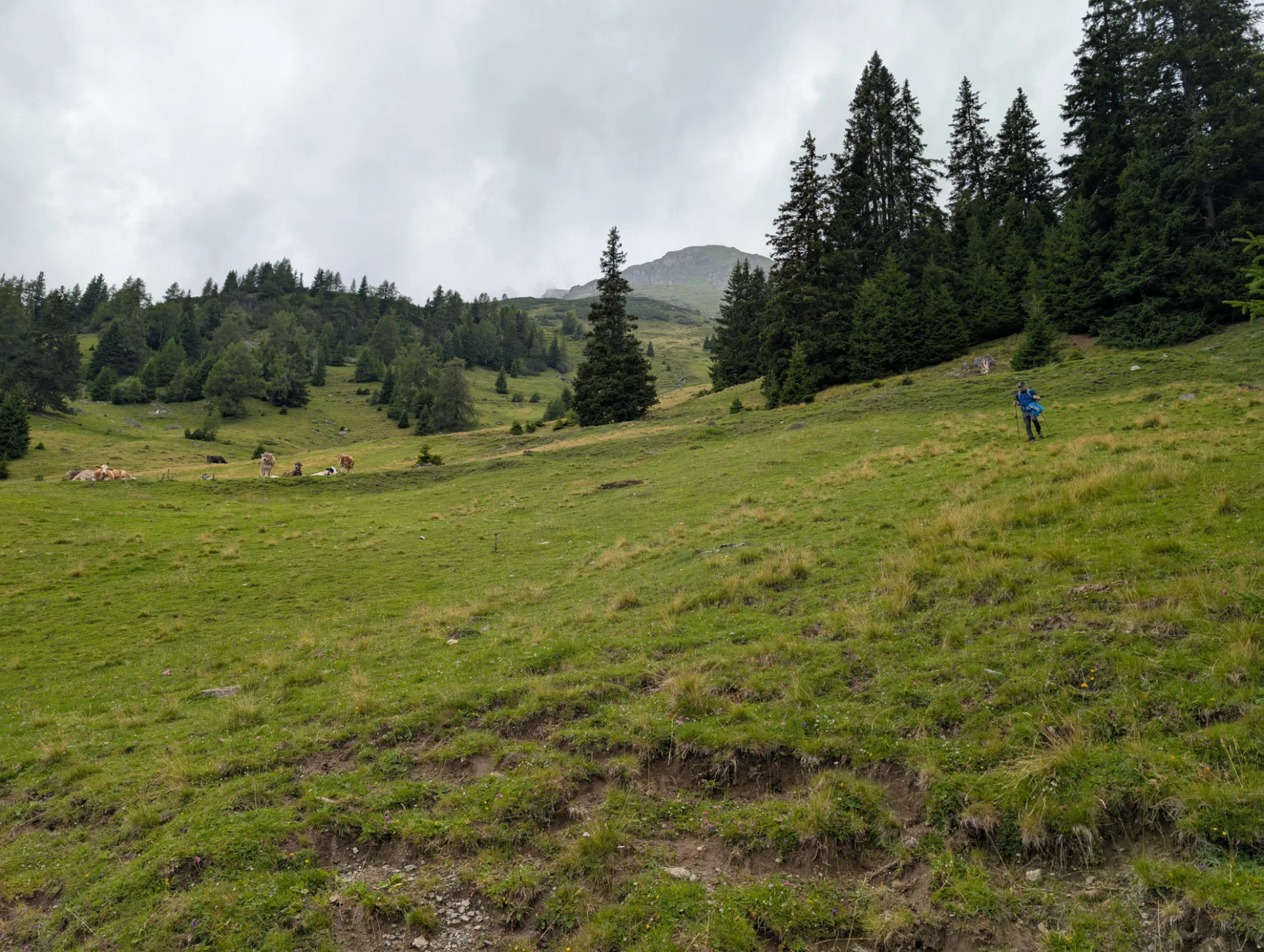 A hiker on the alpine meadow under a cloudy sky