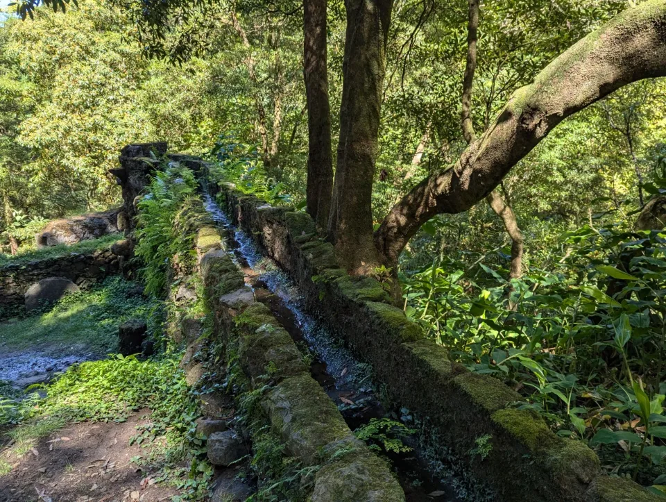 The mill's old stone water channel in the forest