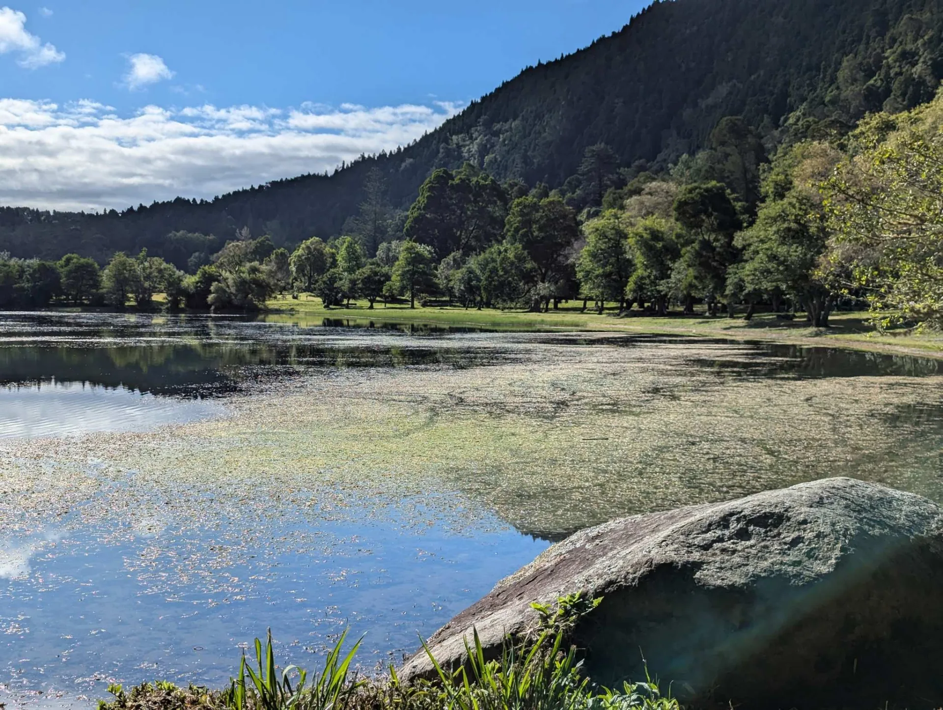 Lake Furnas with its forested slopes