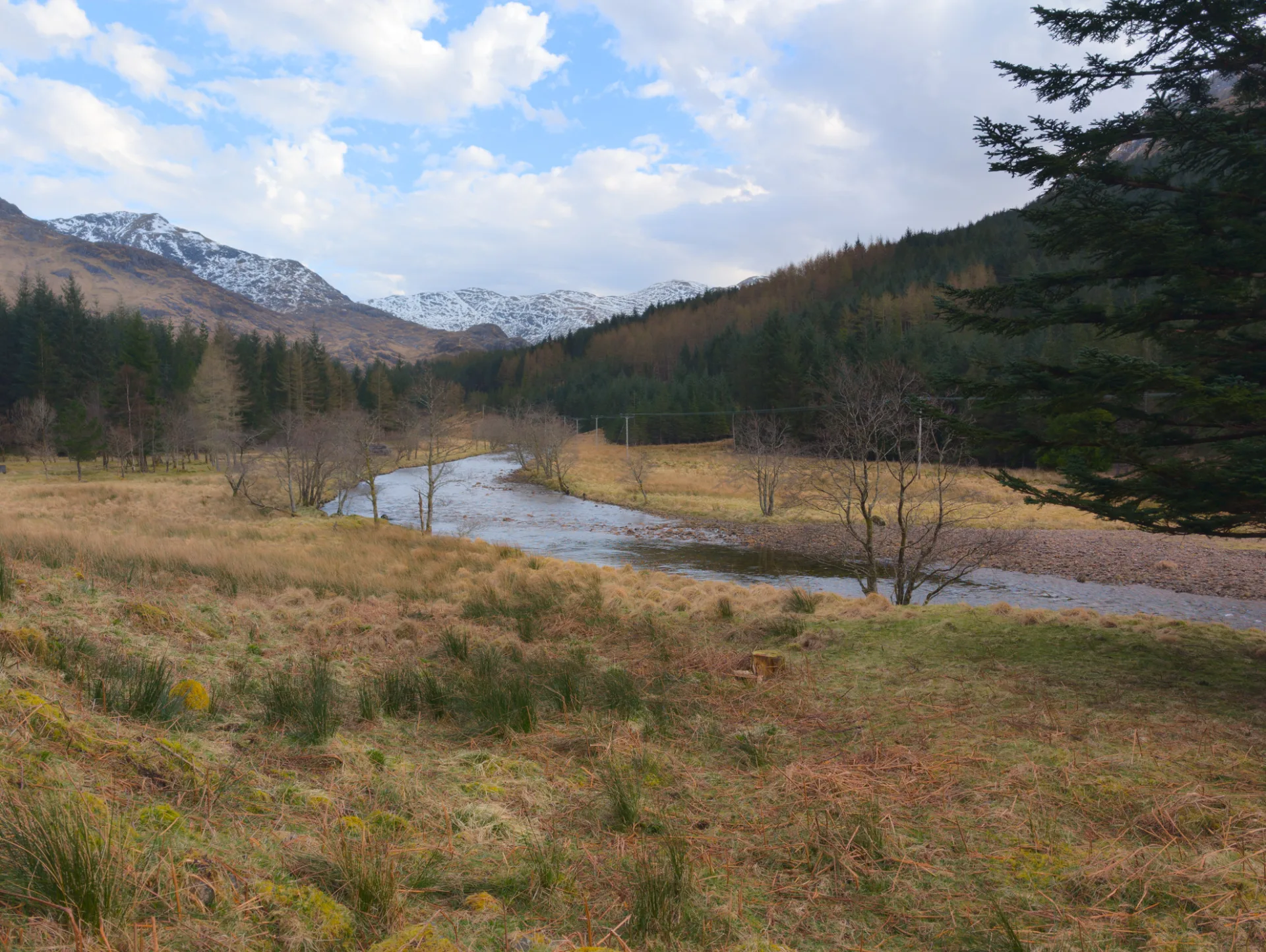 Valley with river between conifer forest and mountain flanks