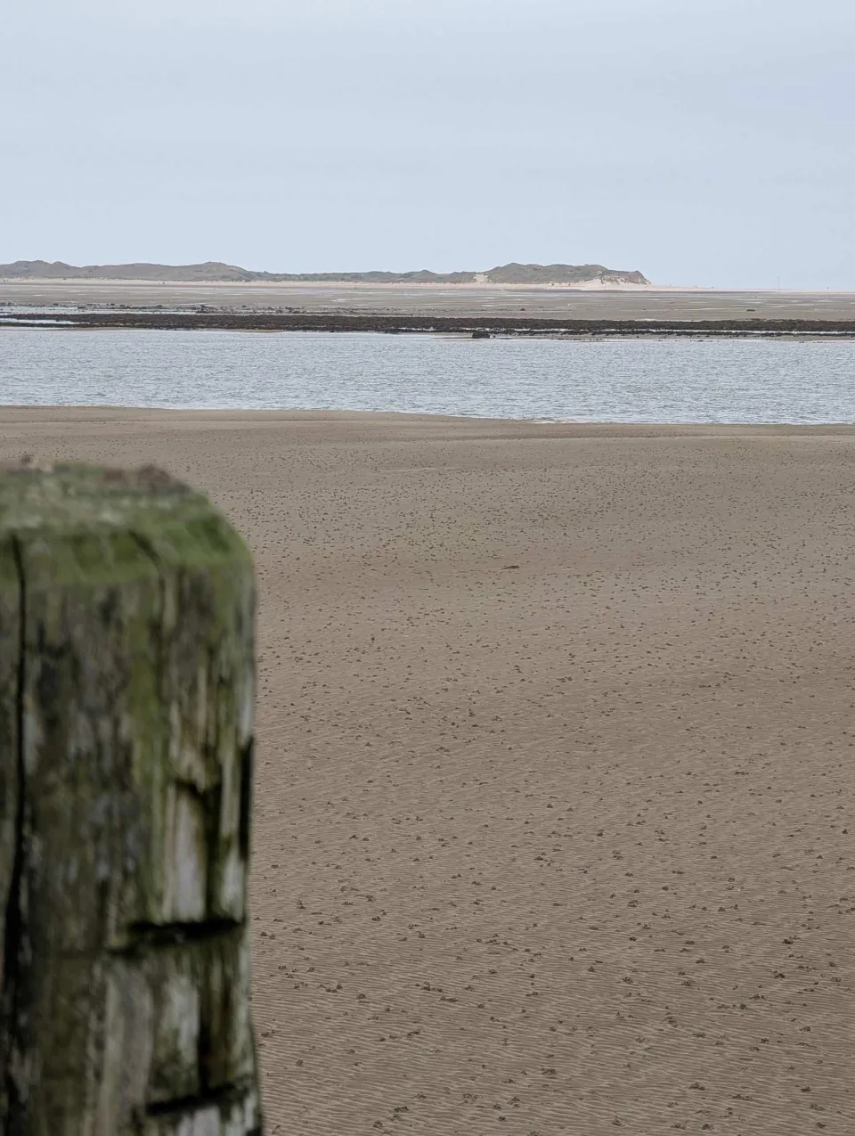 Low tide off Utersum: a moss-covered groyne post, sandbanks to the horizon.