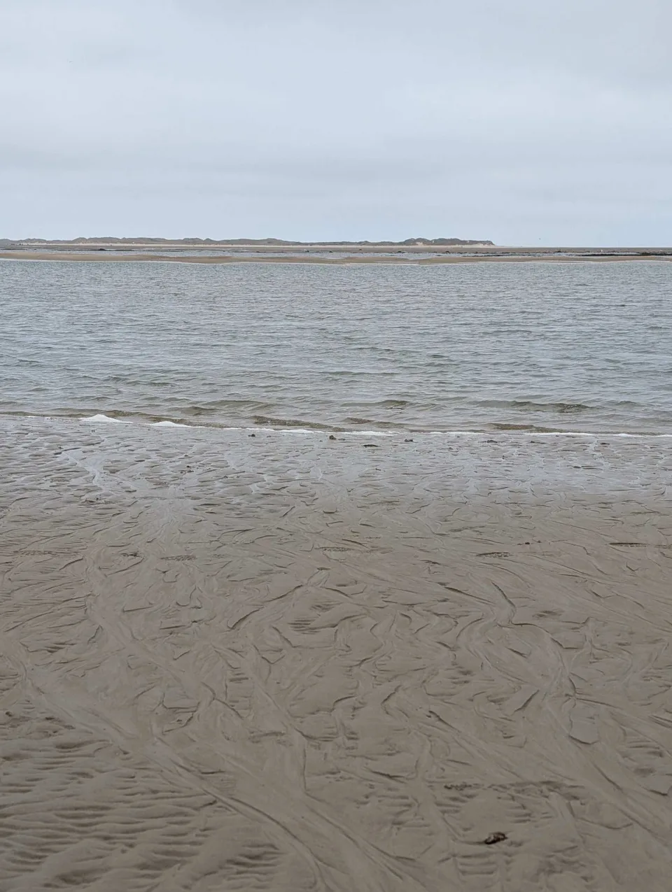 Rippled sand and shallow channels as the tide runs out.