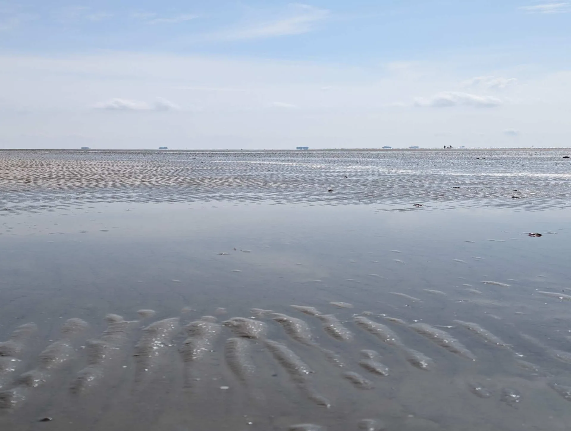 Mudflats at low tide: rippled sand and a narrow channel under a wide April sky.