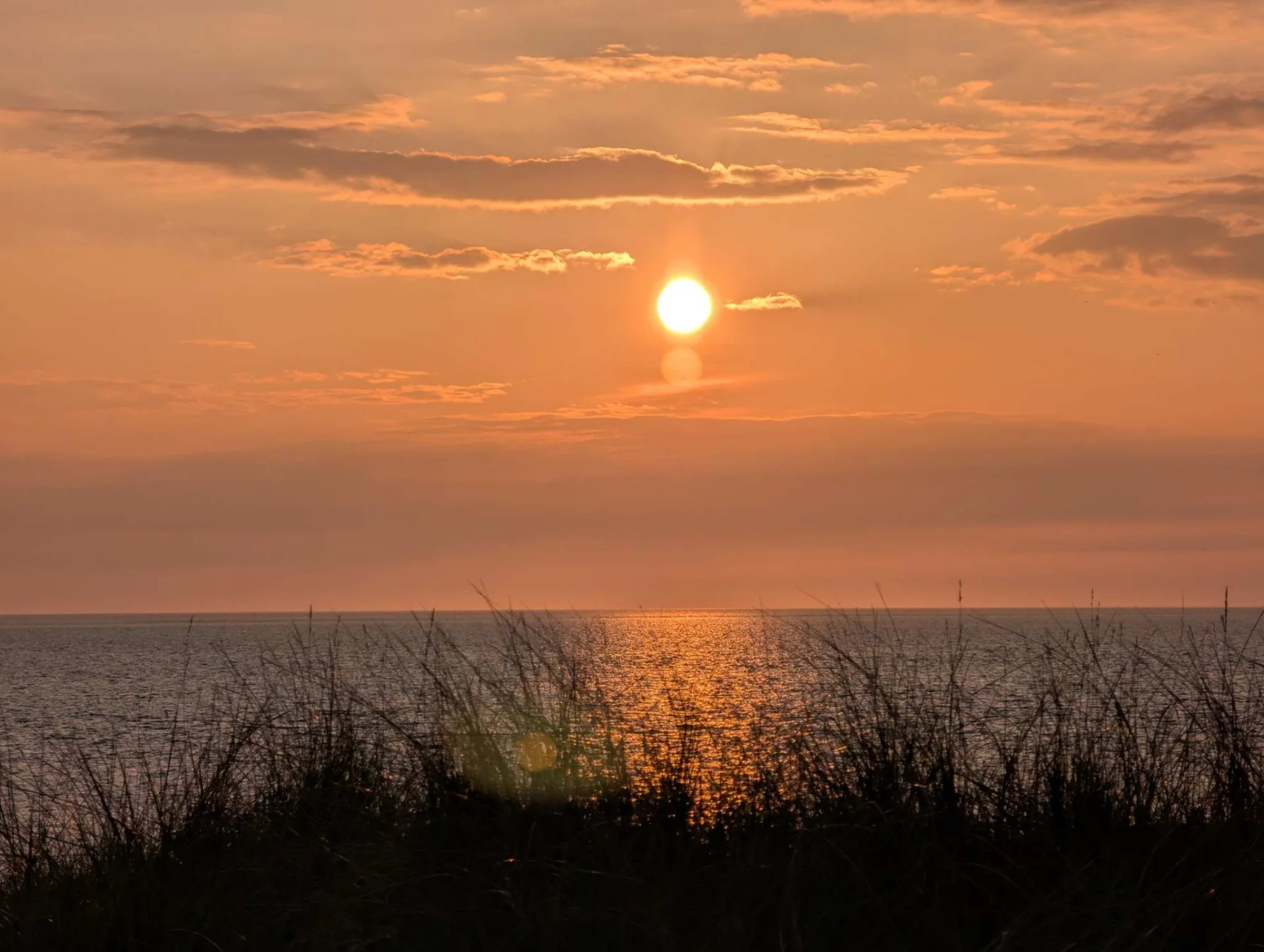 A golden evening: the sun sinks over the sea, dune grass backlit.