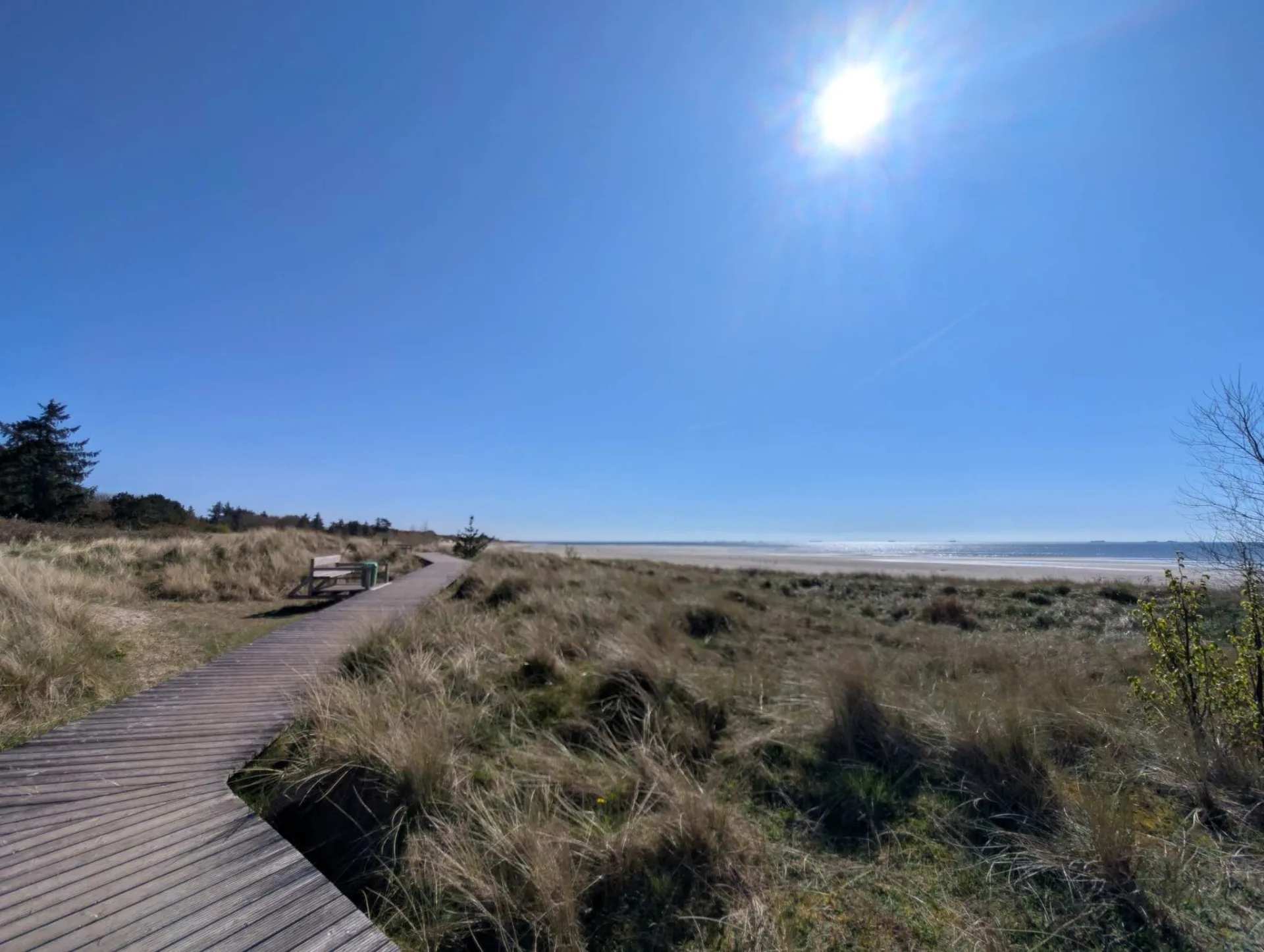 A boardwalk through the dunes to the south beach — Föhr at its sunny best.