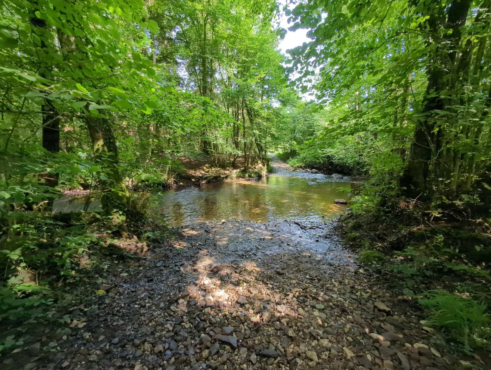 A broader stream crosses the route, the water clear over its gravel bed.