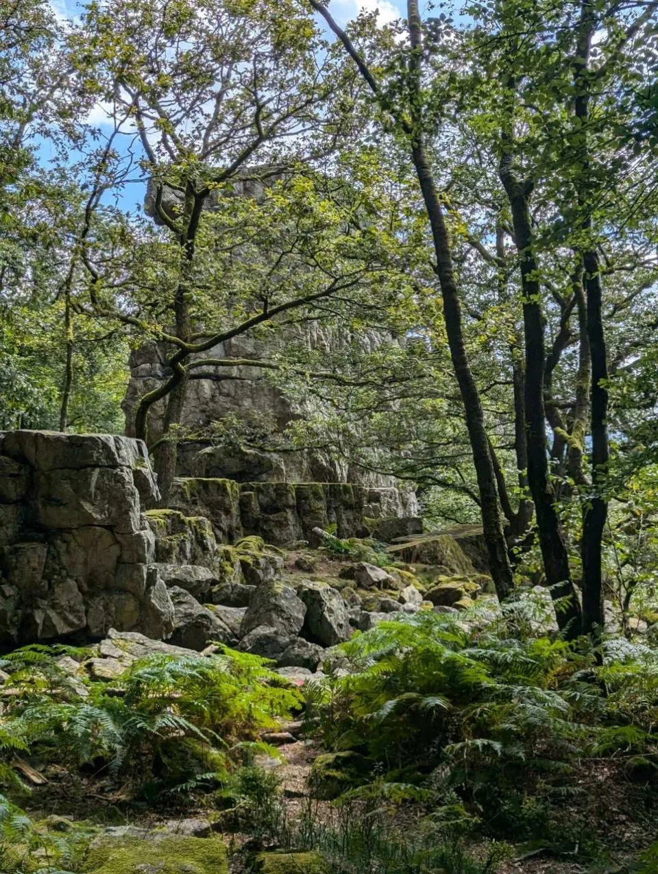 The rock tower itself rises grey from the oak wood — quartzite riven by the weather.