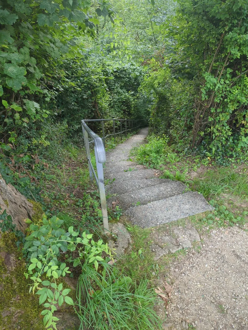 An overgrown stairway leads down — the path isn't tended everywhere.