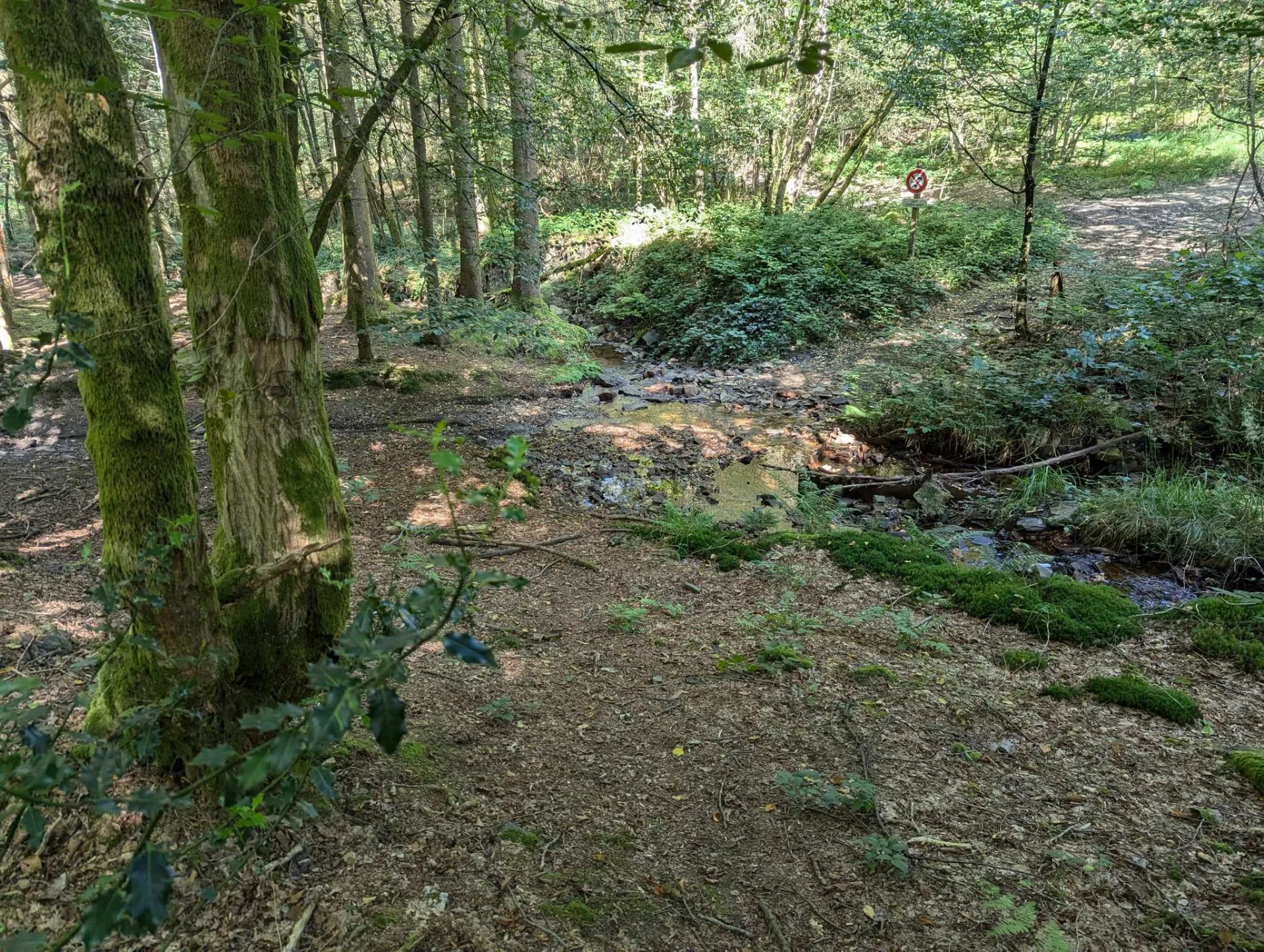 A stream crosses the path, a waymark pointing the way on.