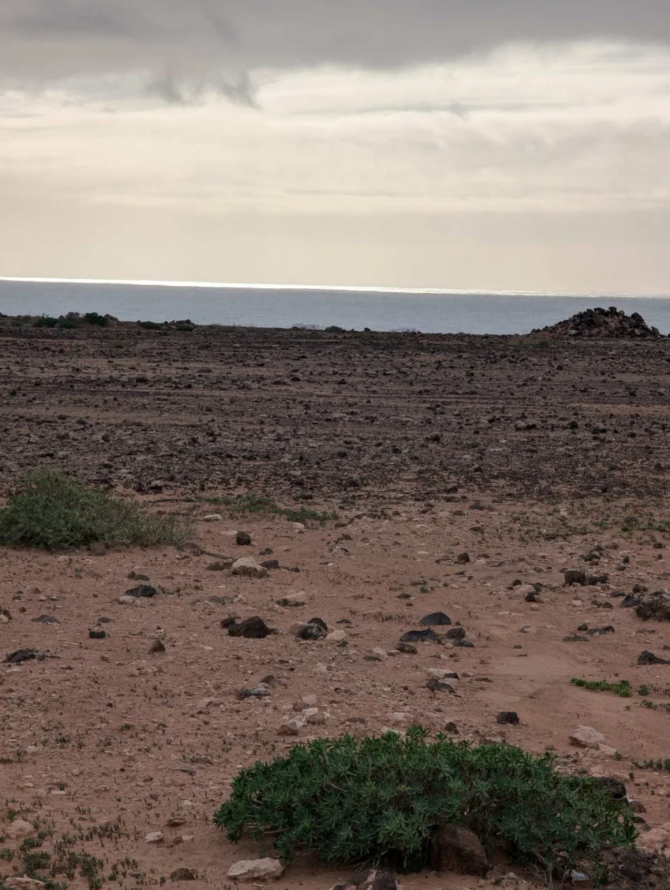 The flat lava coast of the Costa del Rubicón in the evening light.