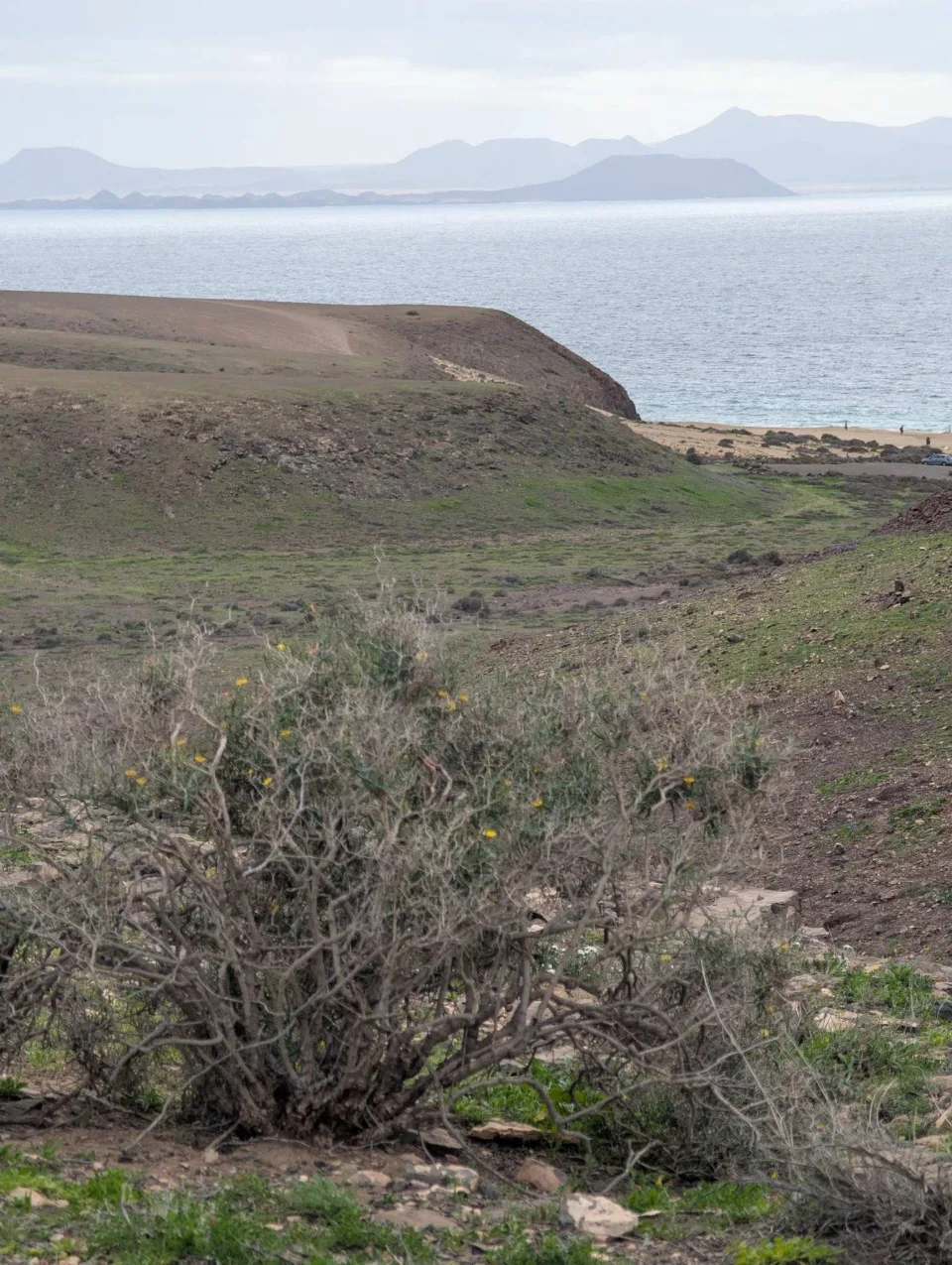 Coastal scrub and a headland on the Costa del Rubicón.