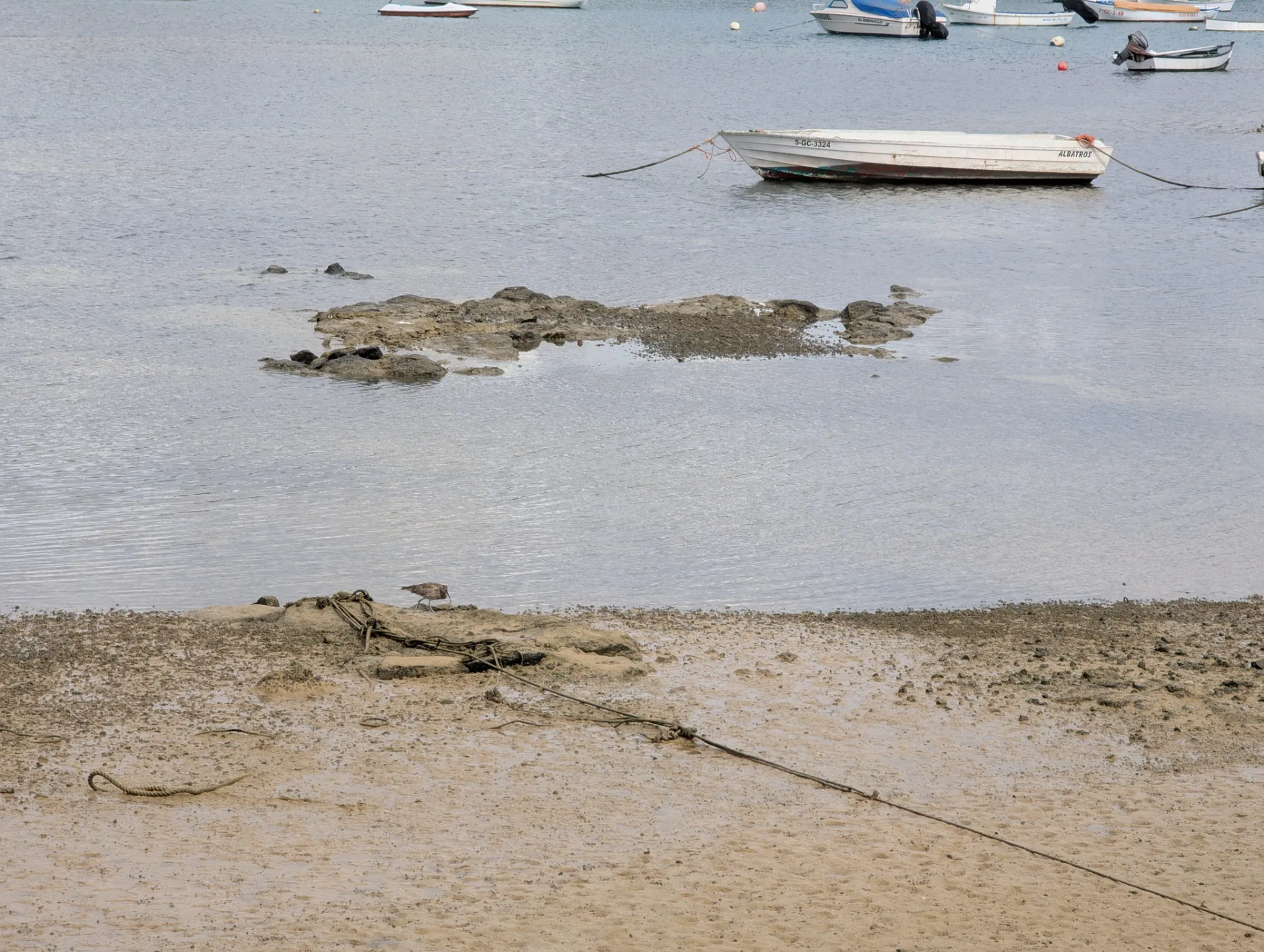 At low tide small boats rest on the rocks of the lagoon.