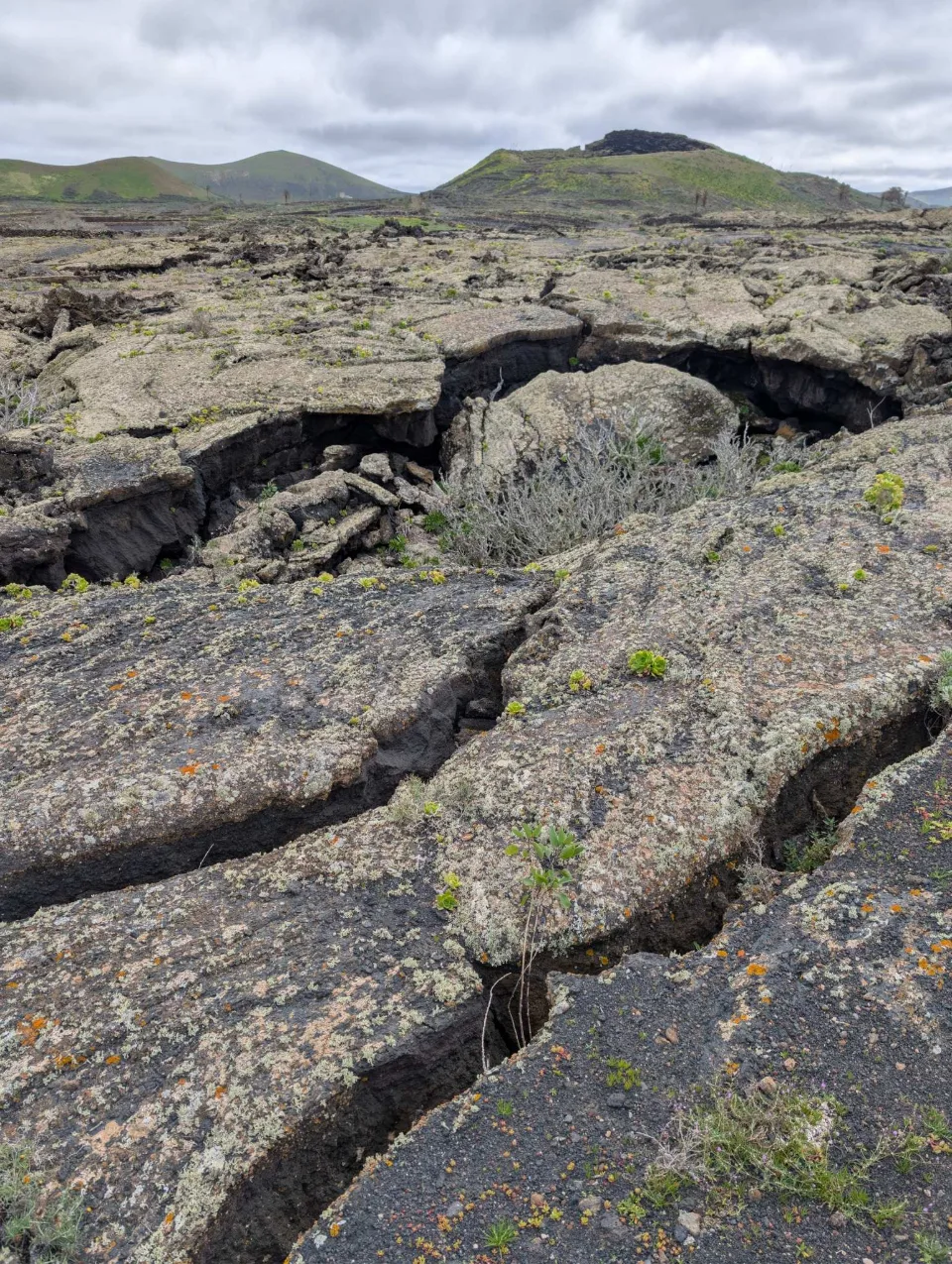 Cracks and channels in the frozen lava flow, covered in lichen.