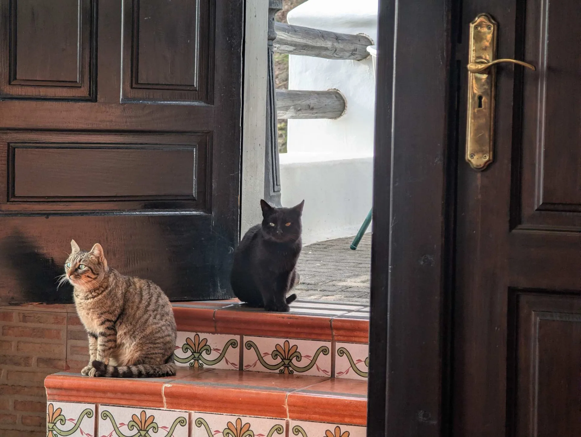 Two cats keeping watch in a doorway in Femés.