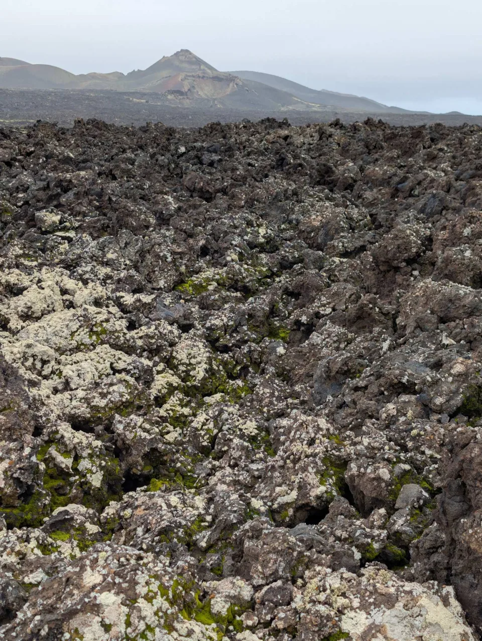 Back over lava and dry scrub to the start.
