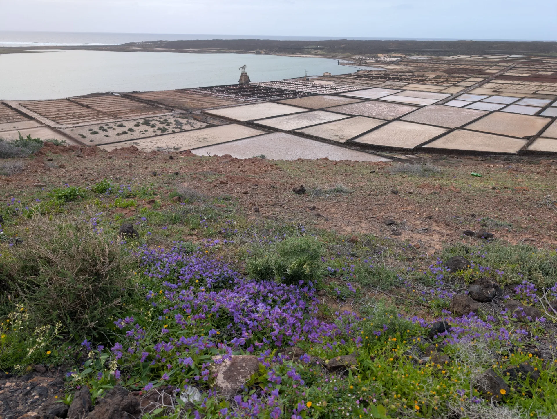 The white saltworks amid the basins of Janubio.
