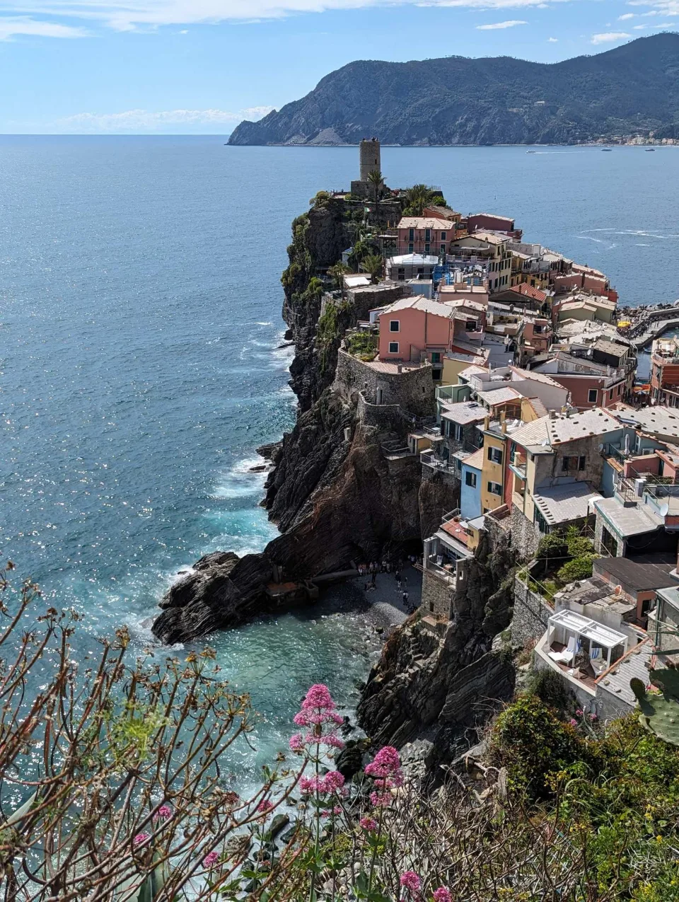 The village of Vernazza on its rocky headland, valerian in bloom in the foreground