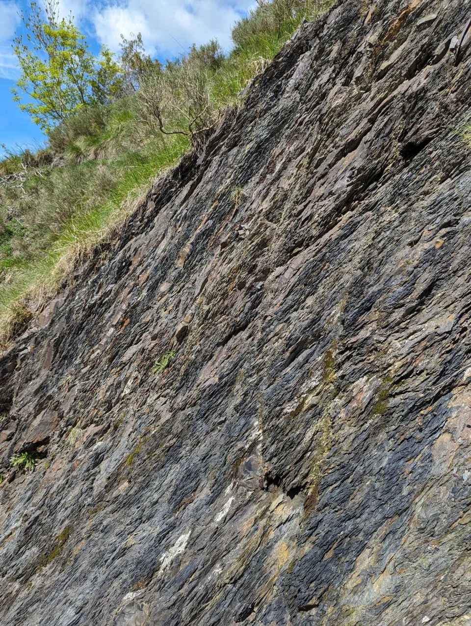 Folded rock strata beside the path