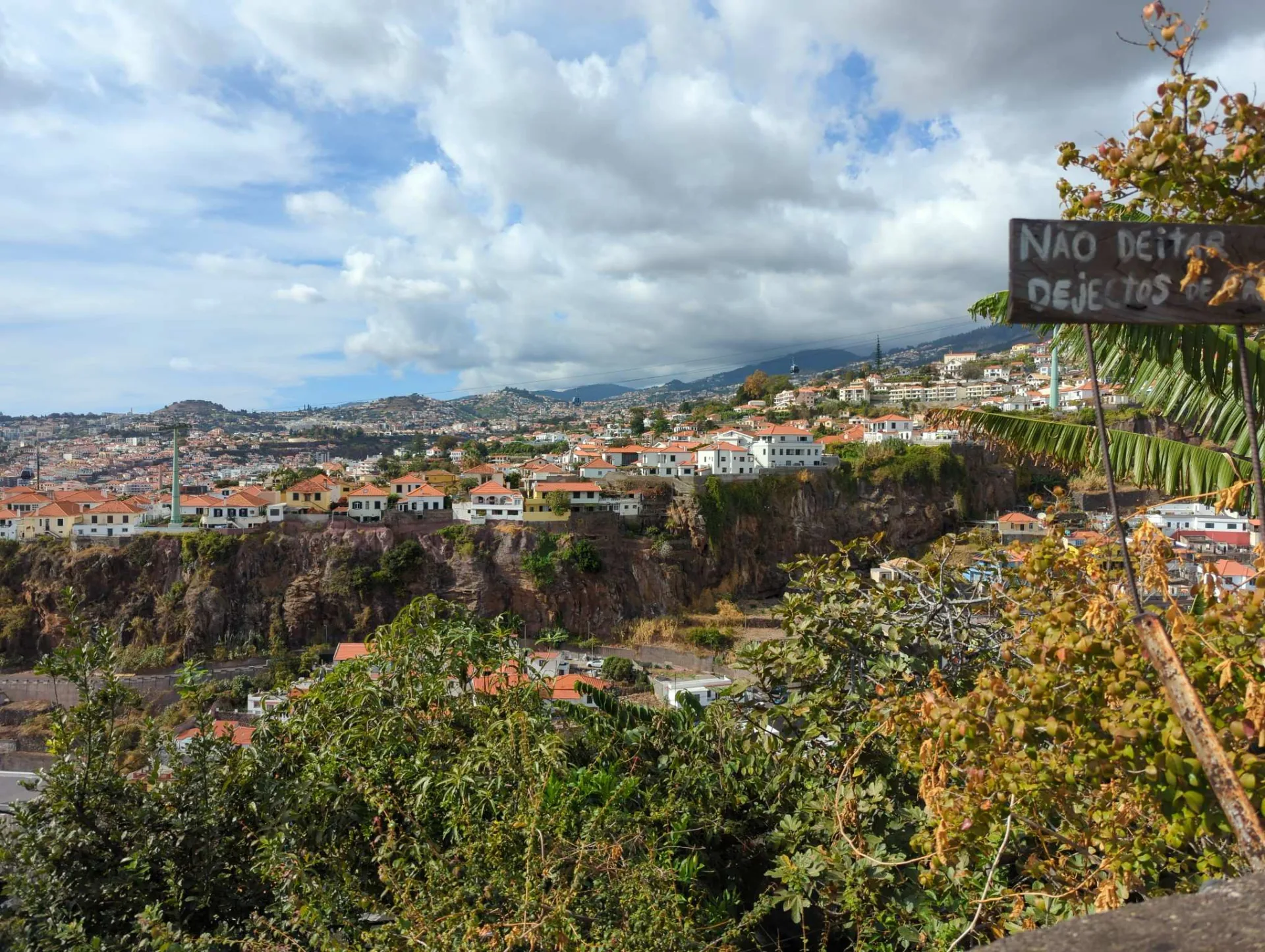 A view over the rooftops of Funchal