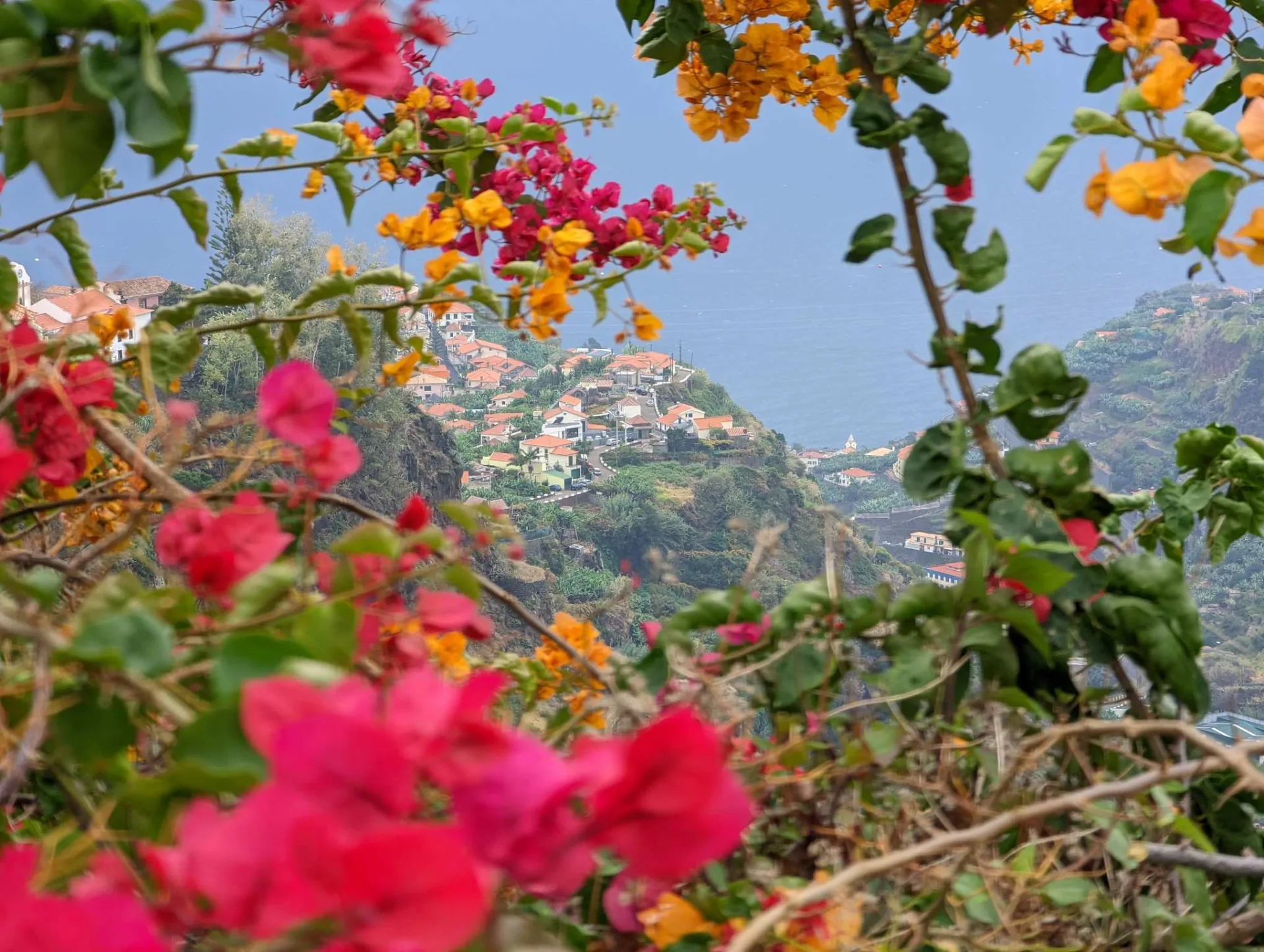 A hillside village framed by bougainvillea