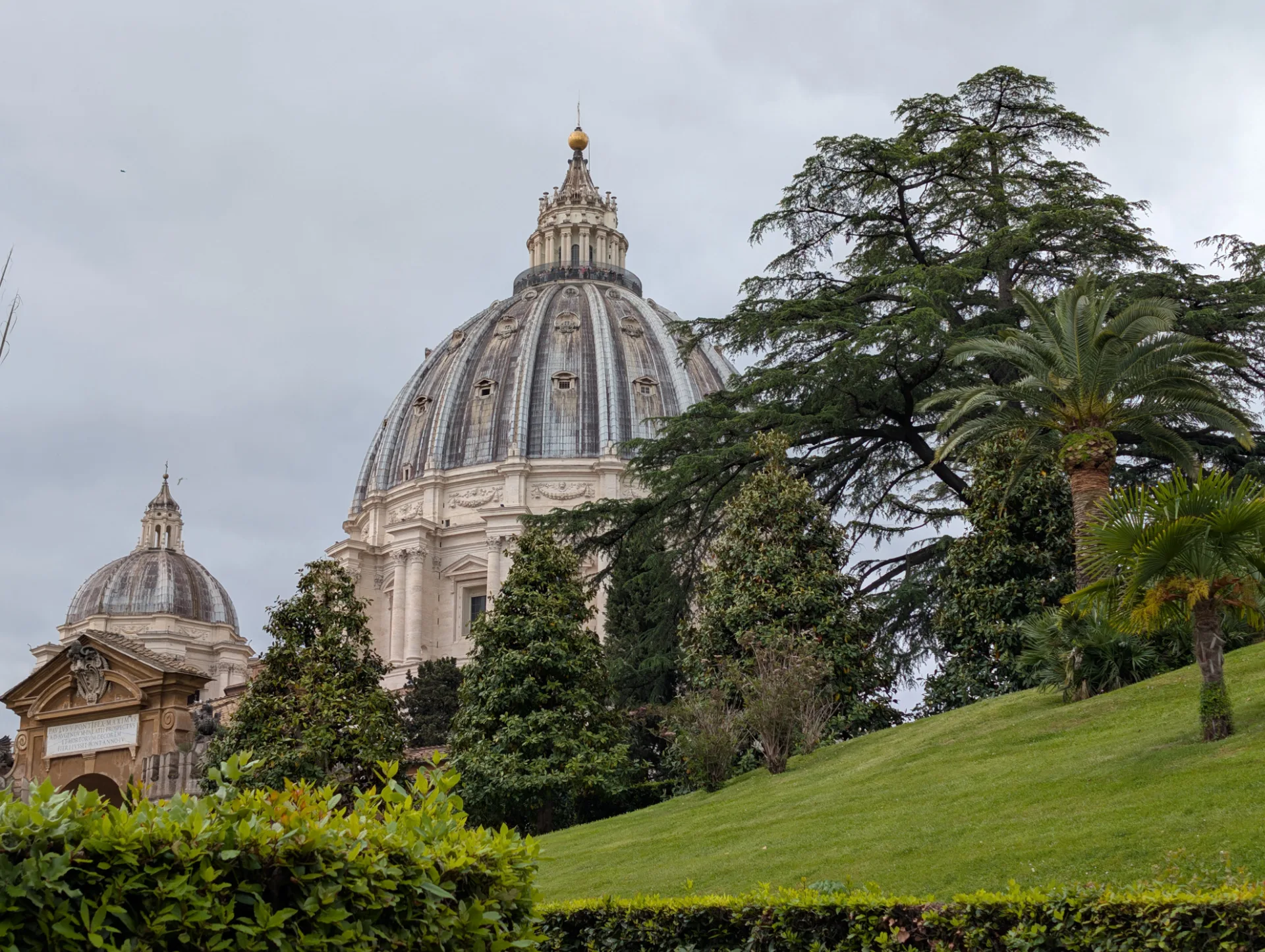 St. Peter's dome behind hedges and stone pines