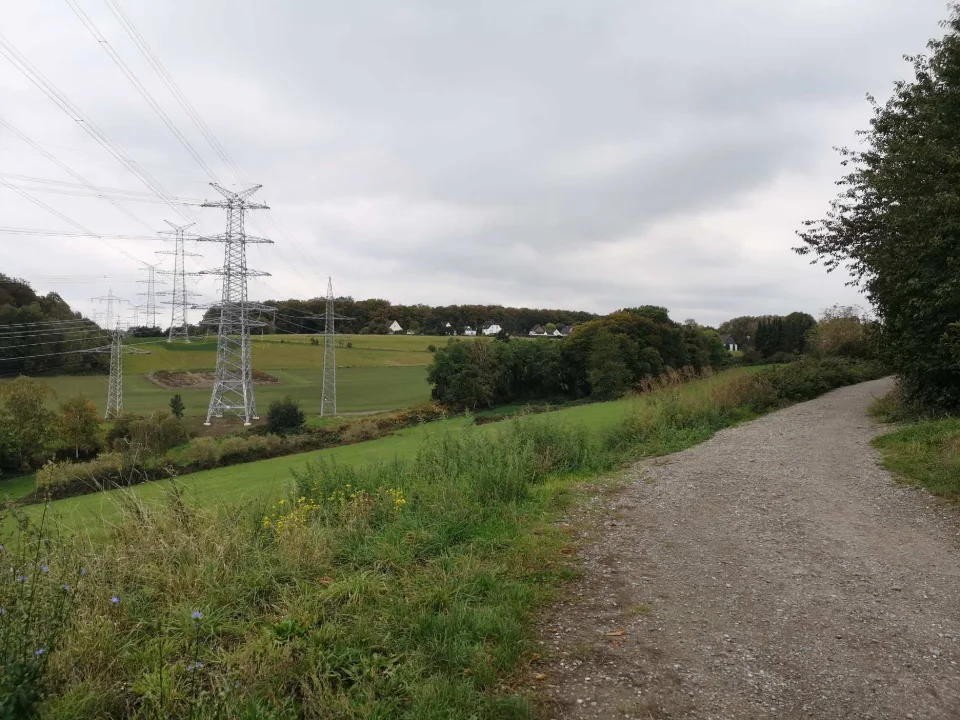 Power lines above the fields — that, too, is part of the landscape around the town.