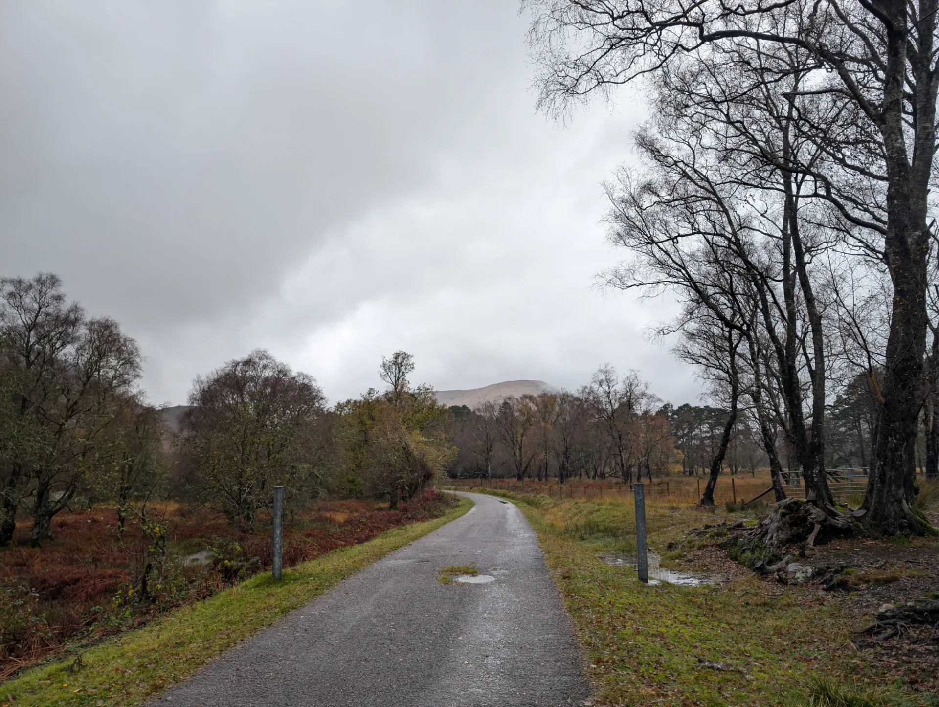 Narrow valley road between bare birches, mountains already wrapped in cloud