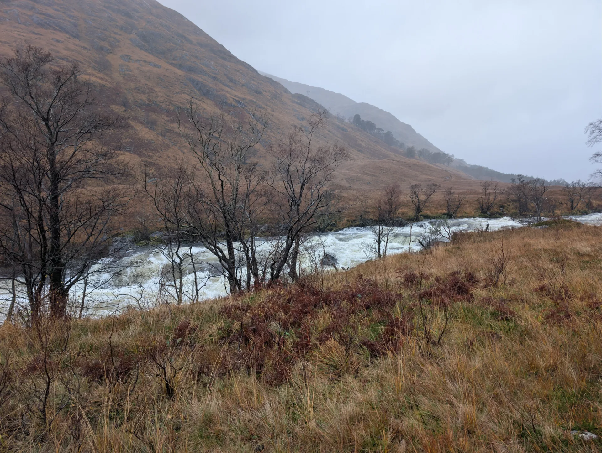 Surging river on the steep slope — the last days' rain making itself felt