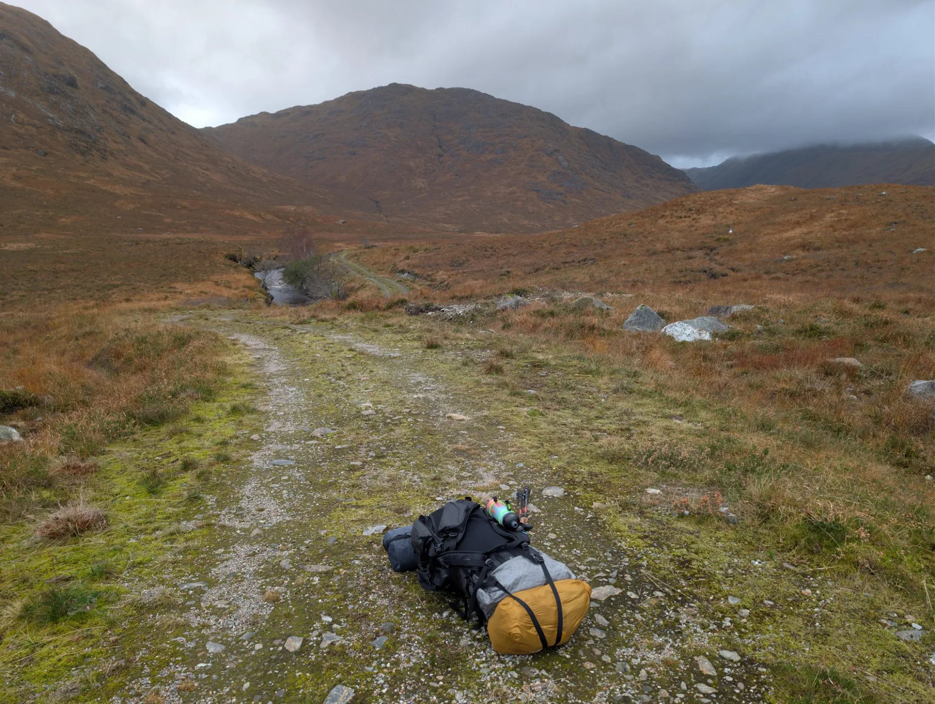 A pause on the path — the pack catches its breath, so do I