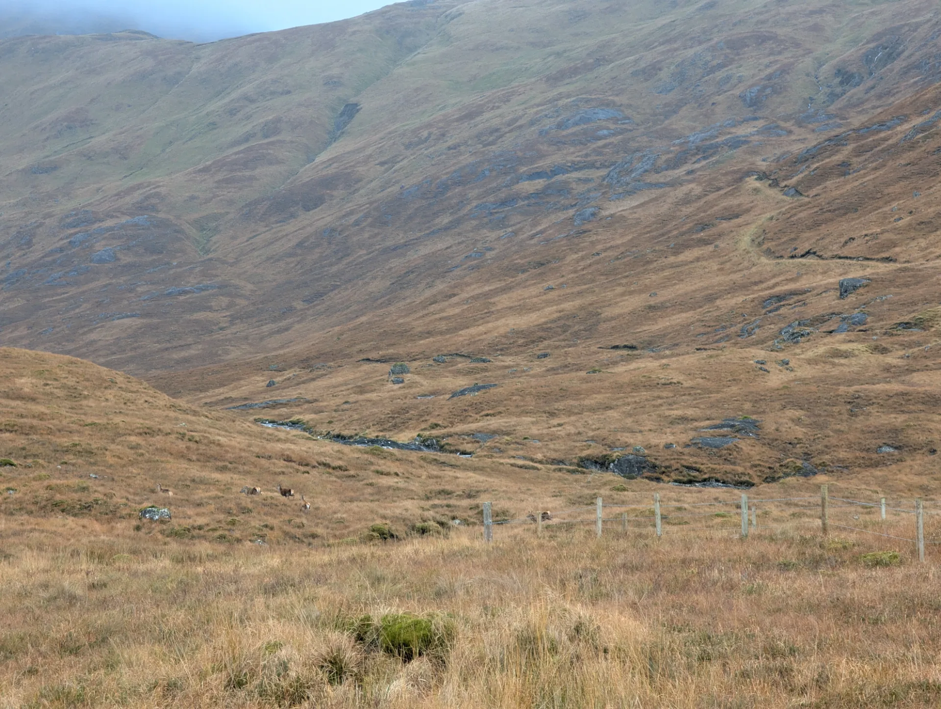 Path traces across the mountain flank, heather and moor all around