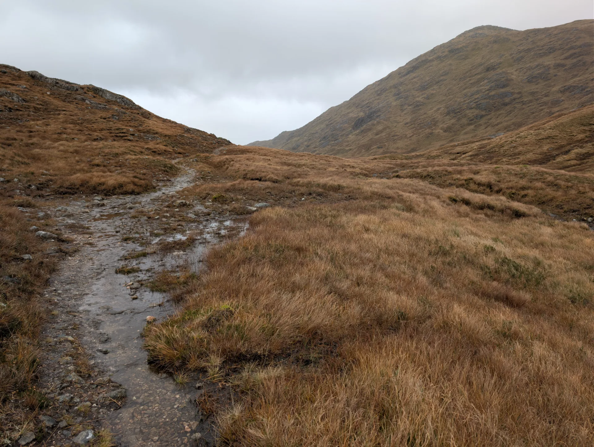 Wet trail — the path under water, the mountains still in cloud
