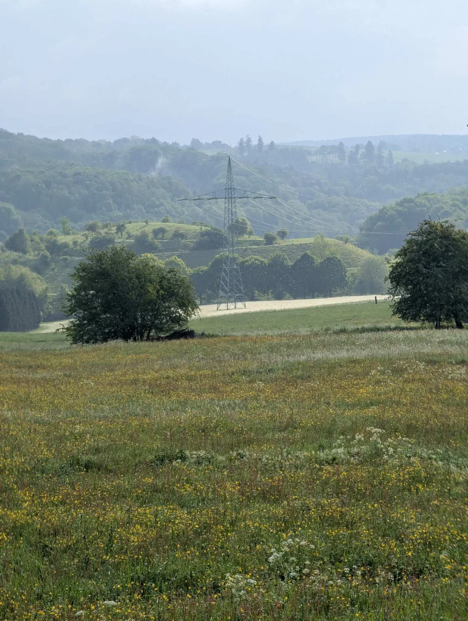 Flowering meadows and a pylon in the hazy valley — the first kilometres.