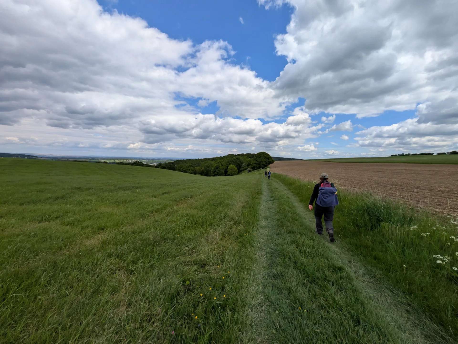 A lone walker on a grassy track between meadow and field, a wide sky of big clouds.