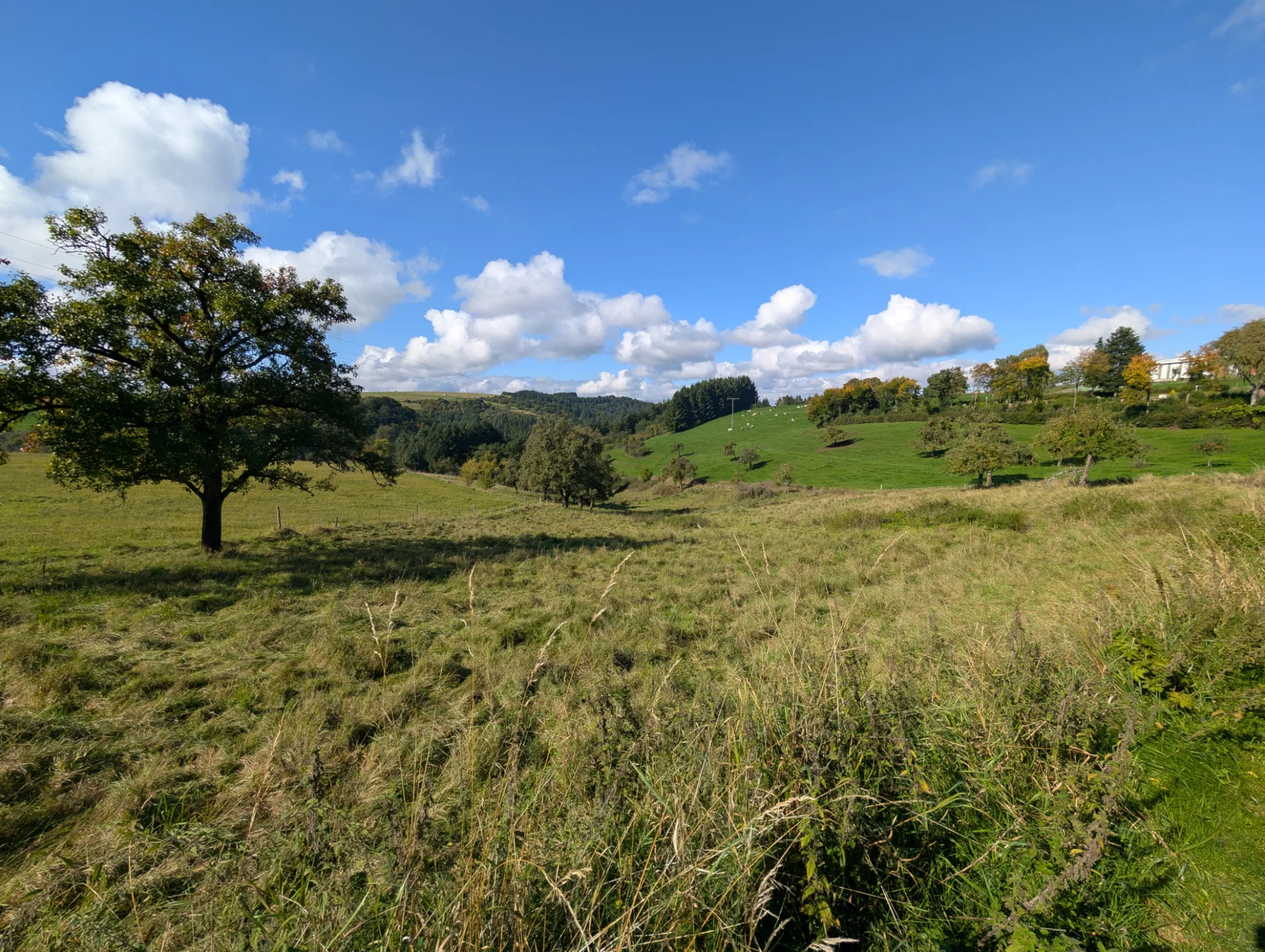 Open Eifel uplands just before Meerfeld