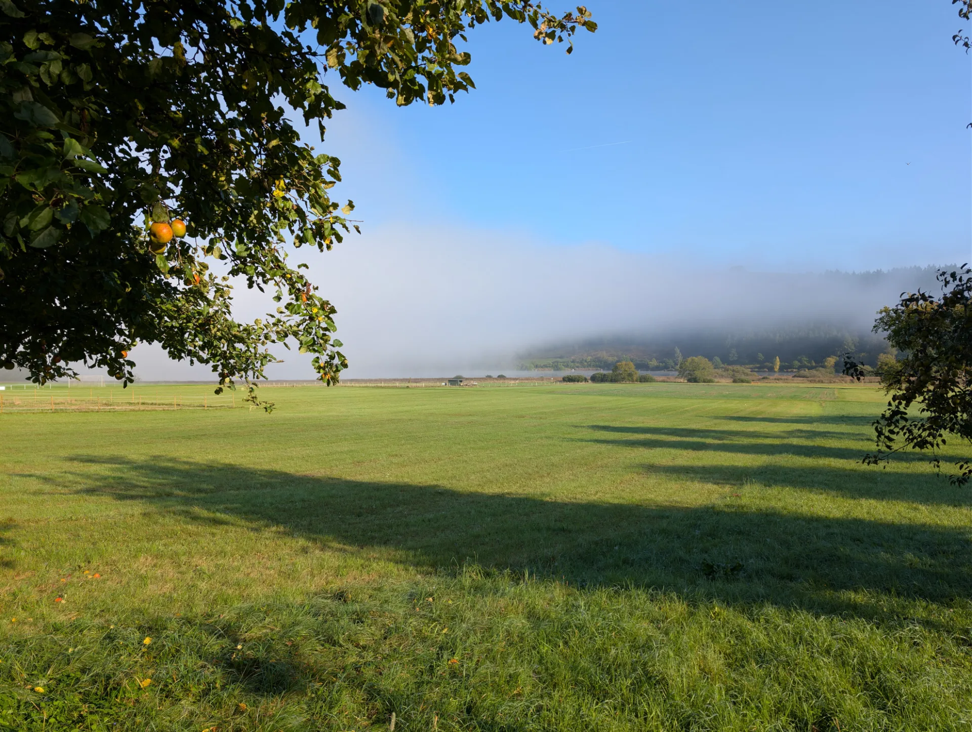 Morning mist over the Meerfeld Maar