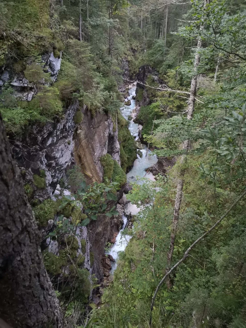 First daylight: the Partnach rushing over the boulders in the valley.